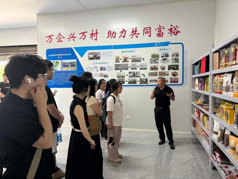 赌博网址大全