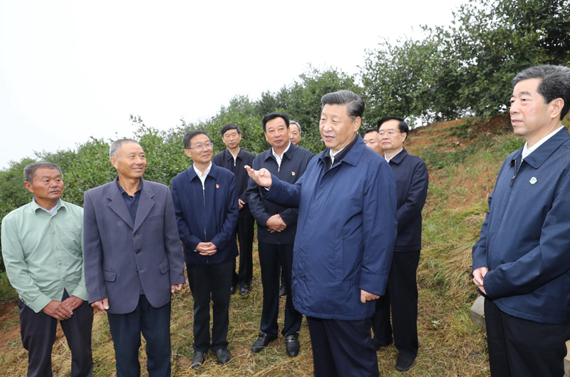 赌博网址大全