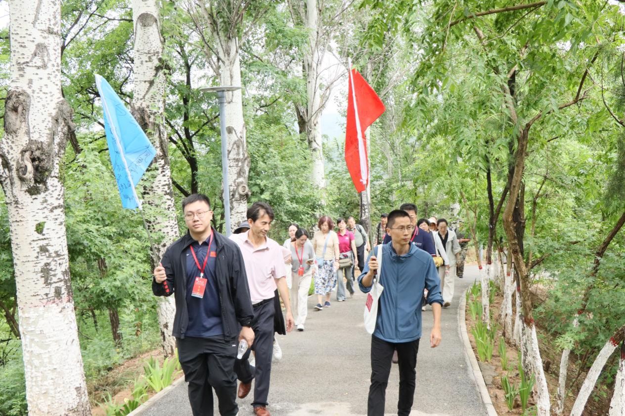 赌博网址大全