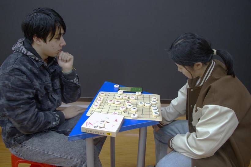 赌博网址大全