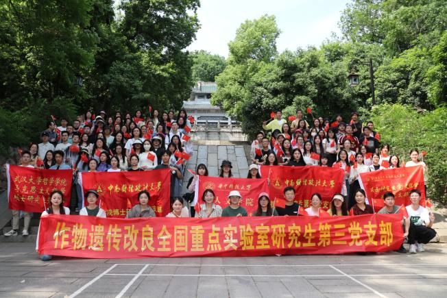 赌博网址大全
