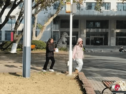 赌博网址大全